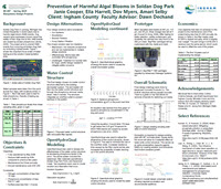 2- Ingm SDP Prvt - Final Poster Assignment 8Thumbnail - Copy.jpg